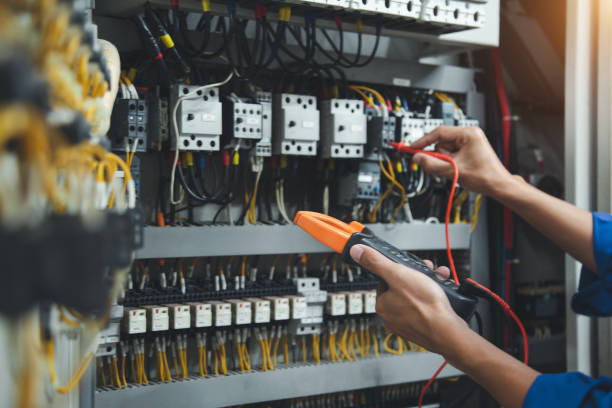 Best Electric Panel Repair  in Walls, MS